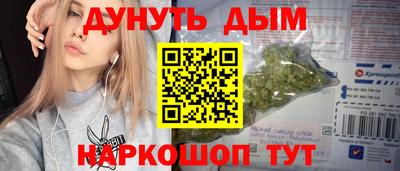 гидра Новодвинск