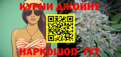 гидра Новодвинск