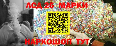 гидра Новодвинск