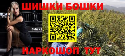 гидра Новодвинск
