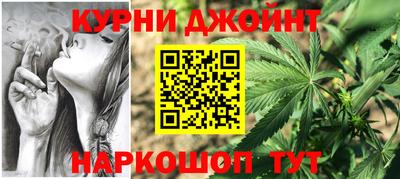 гидра Новодвинск