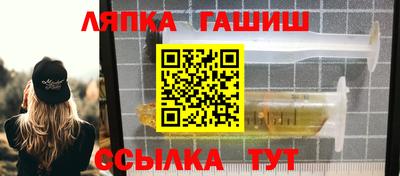 гидра Новодвинск