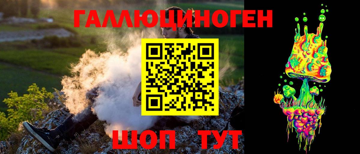 Псилоцибиновые грибы Cubensis Кондопога